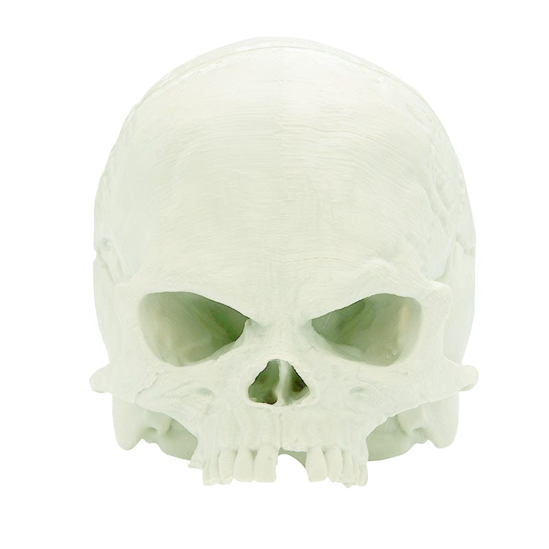 Apocalypse Now Cap Skull-3