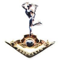 Hat Badge RASIGS - SIGNALS