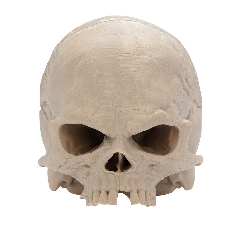 Apocalypse Now Cap Skull-1