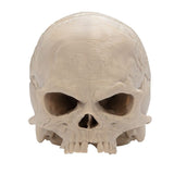 Apocalypse Now Cap Skull-1