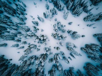 7 of the craziest winter survival stories